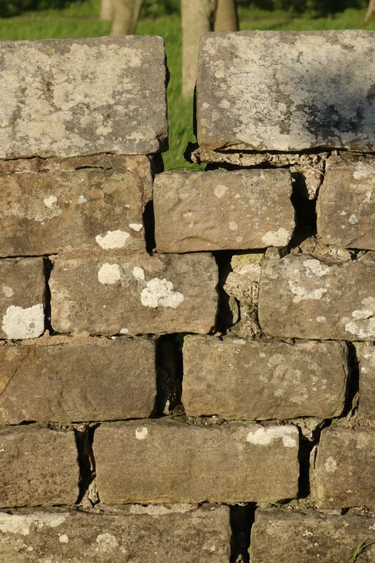 Stone Wall Repair in Laveen, AZ